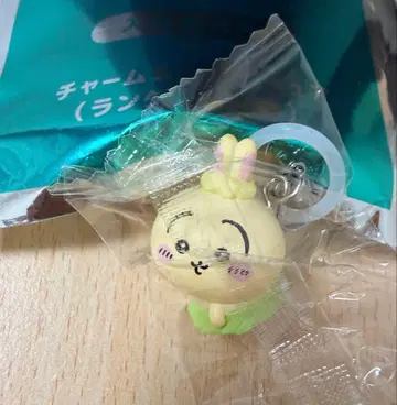 치이카와 영화 메지루시 토끼