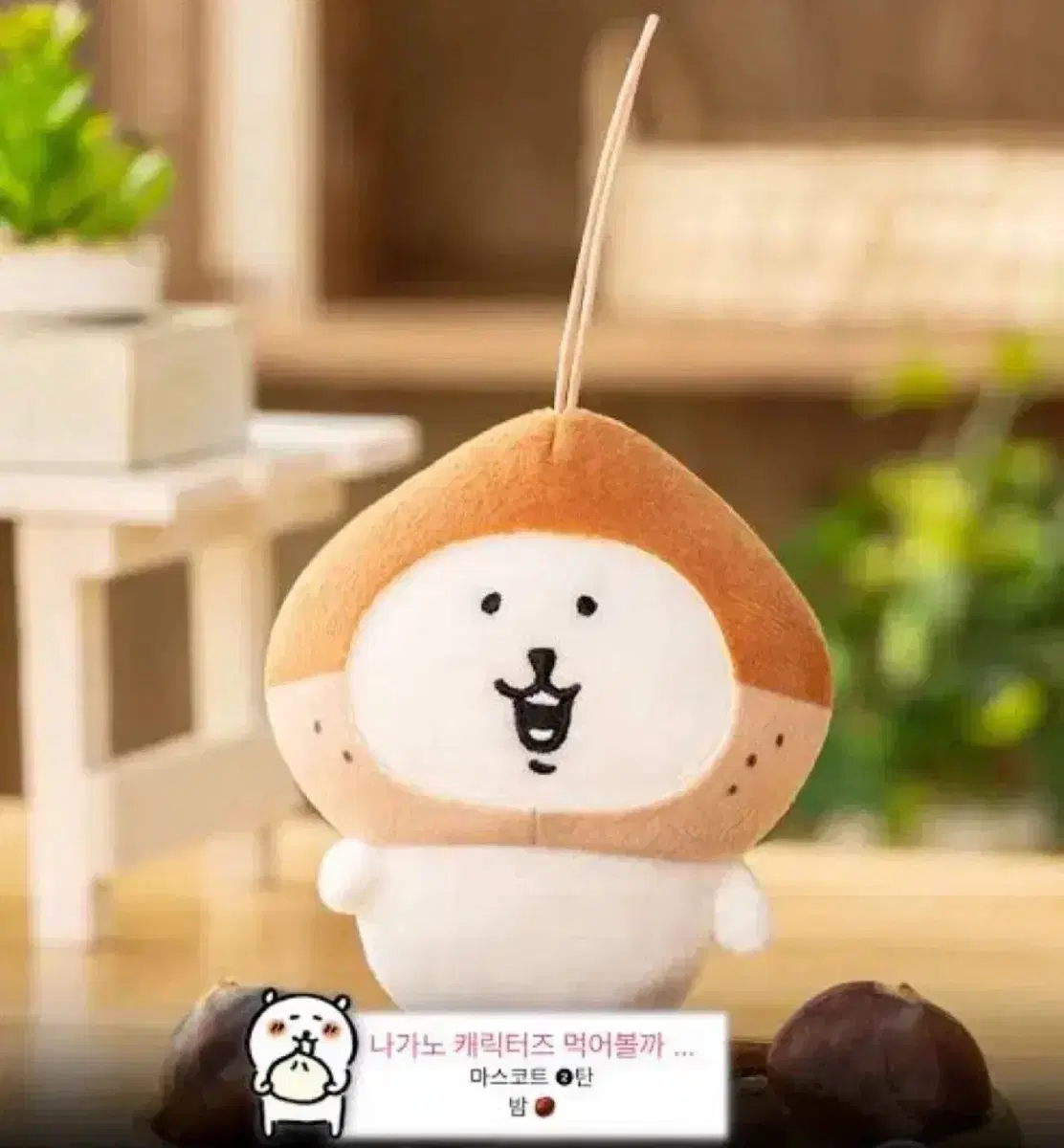 농담곰 밤 먹어볼까시리즈