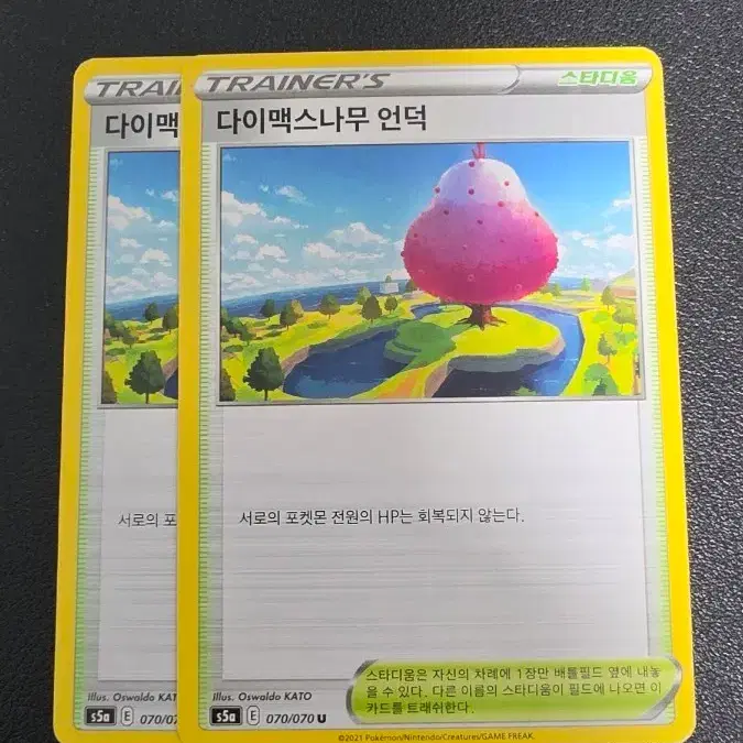 포켓몬 카드 스타디움 다이맥스나무 언덕