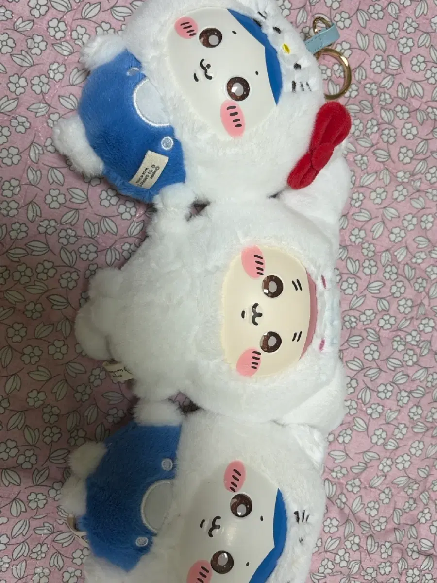치이카와 산리오 키라메코