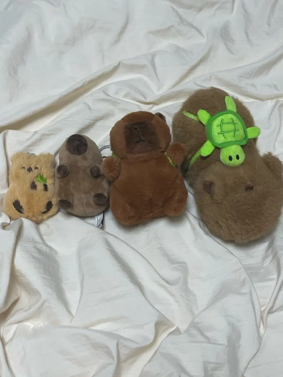 카피바라,쿼카 키링 판매