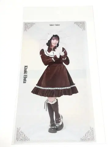 Juice=Juice 에바타 히사키 슬림 클리어 파일