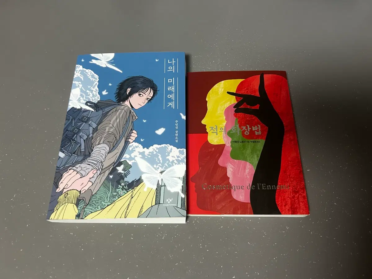 소설 책 나의 미래에게 주민선 적의 화장법 아멜리 노통브 청소년 창비