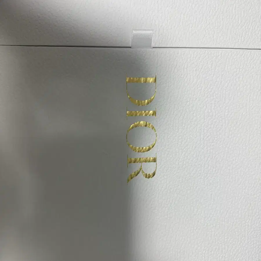 디올 오블리크 클러치 새들 파우치