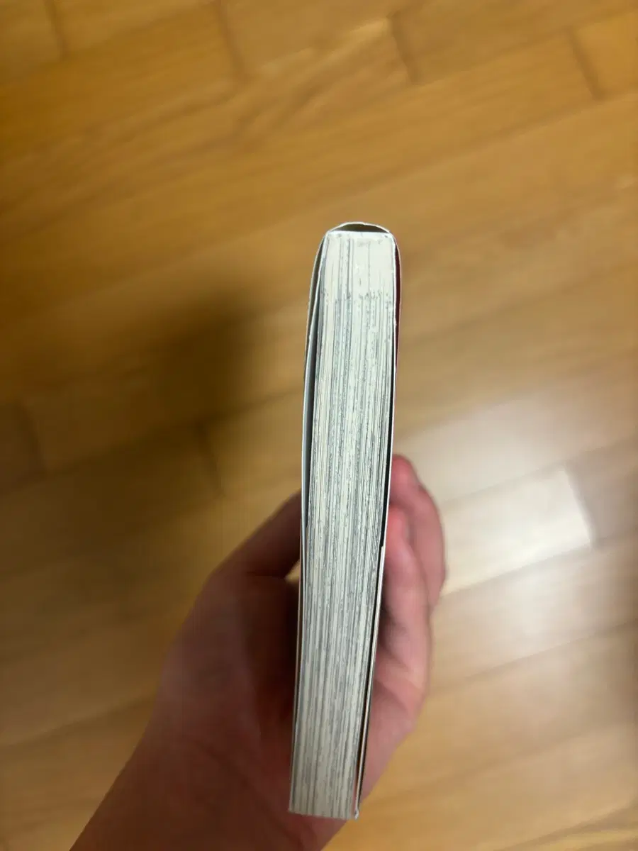사카모토데이즈
