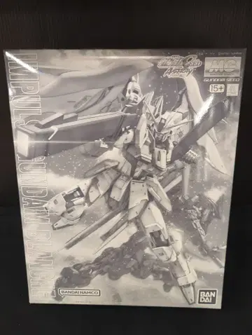 BANDAI SPIRITS MG /100 반다이남코판 임펄스 건담 블랑슈