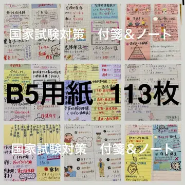 B5 용지 113매 간호사 국가시험 대비 포스트잇 노트