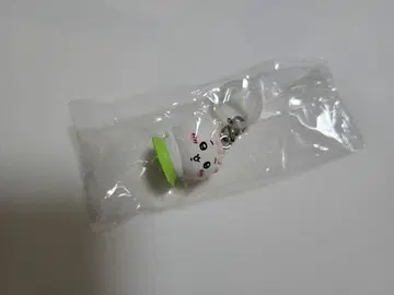 치이카와 영화 특전 메지루시 참