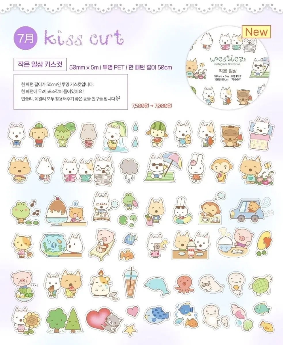 키스컷 마테띵 소분 판매 : 웨스티즈