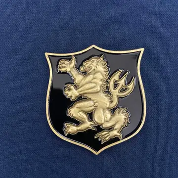 미 해군 특수작전군 Navy SEALs 챌린지 코인