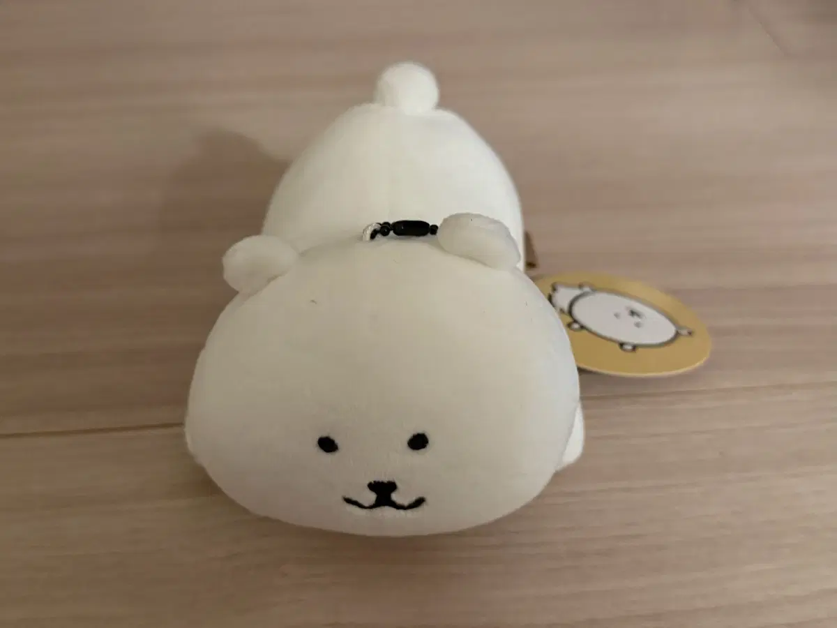 나가노마켓 앉은 농담곰 누이