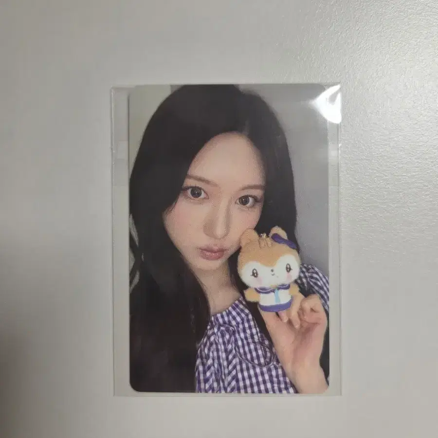 아이브 미니브 팝업 7만원 특전 가을 포카