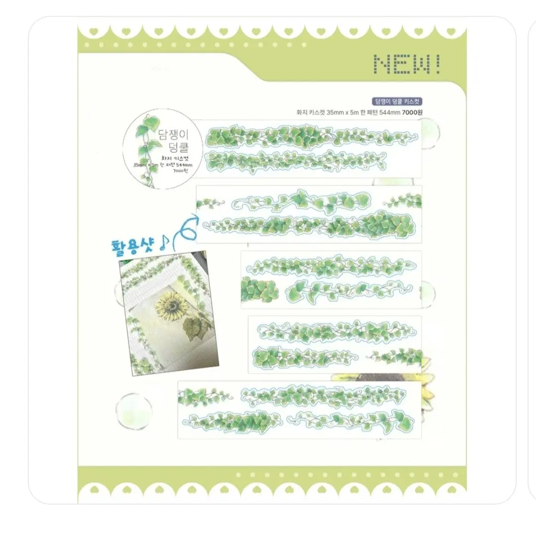 꼬순도순 키스컷