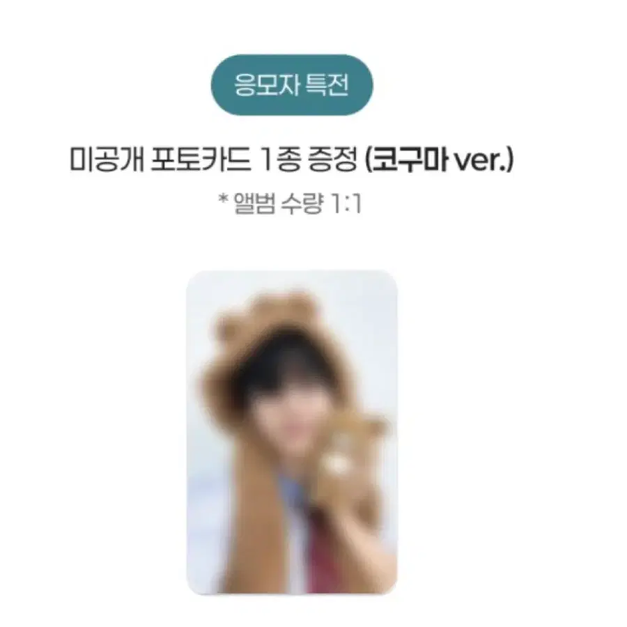 영케이 코구마 미공포