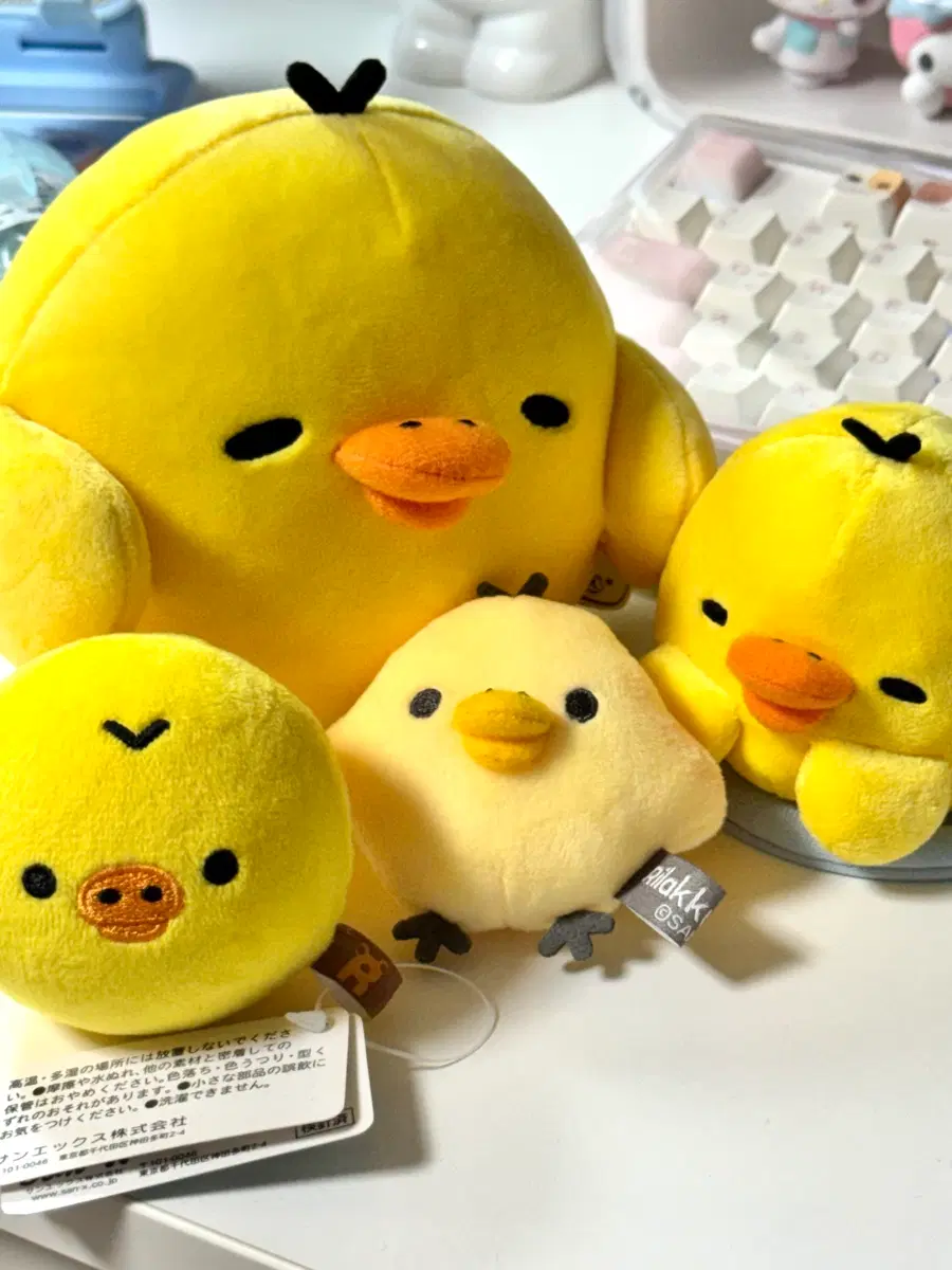 키이로이토리 인형 일괄 양도