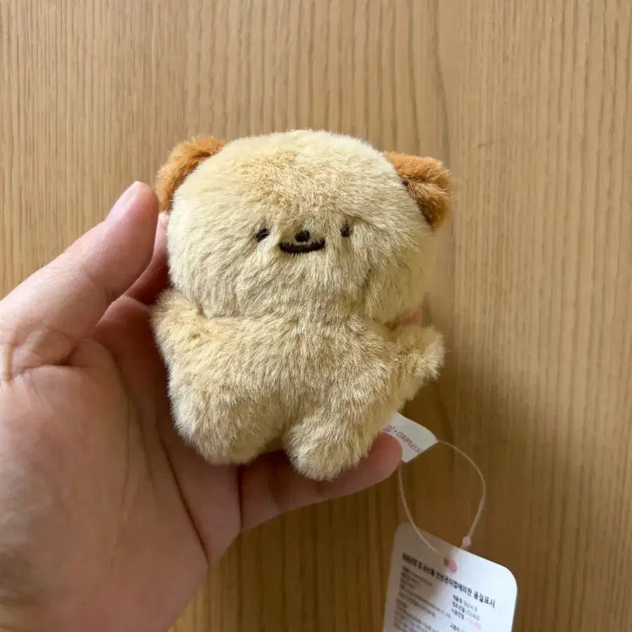 포근한 곰돌이 키링