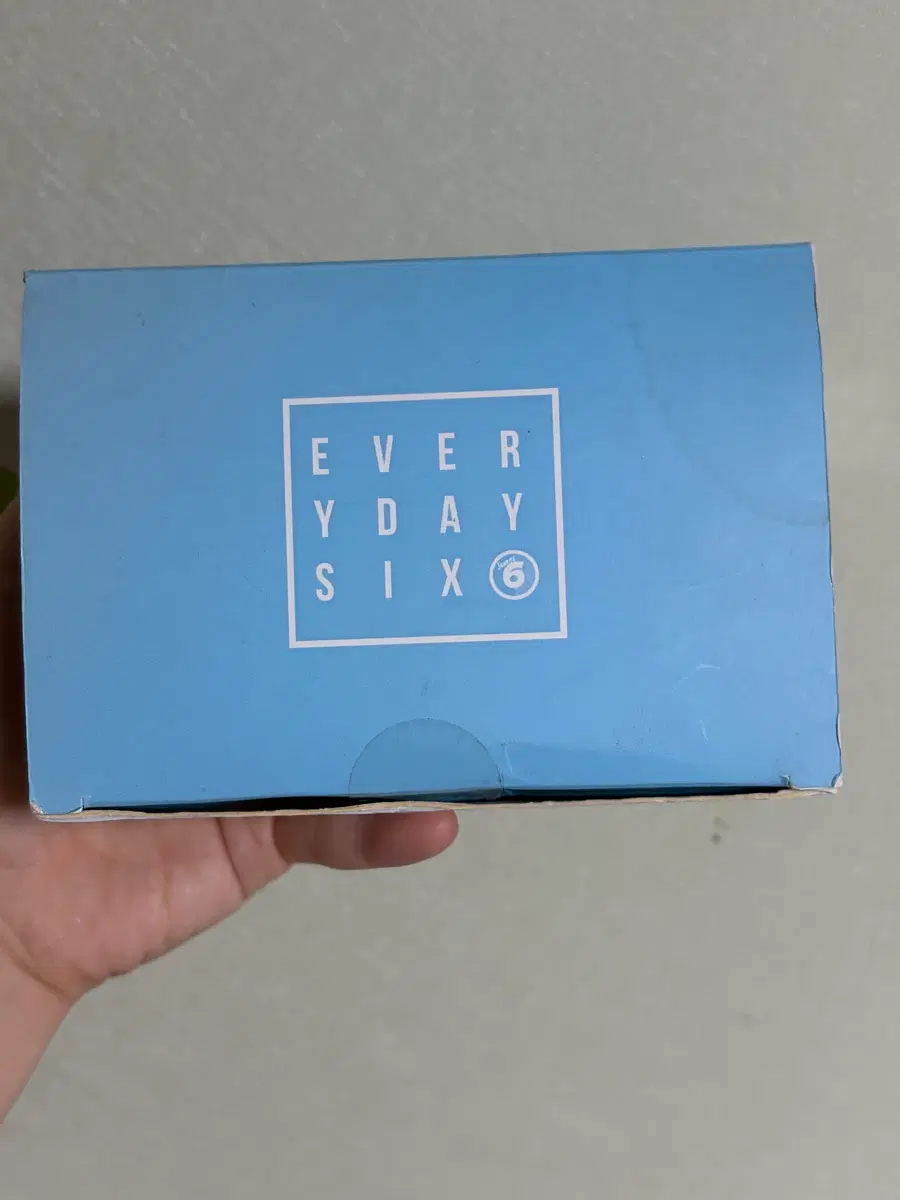 에브리데이식스 에데식 도장