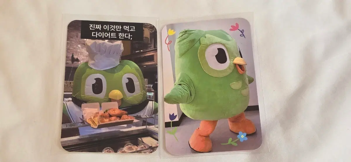 듀오링고 포카