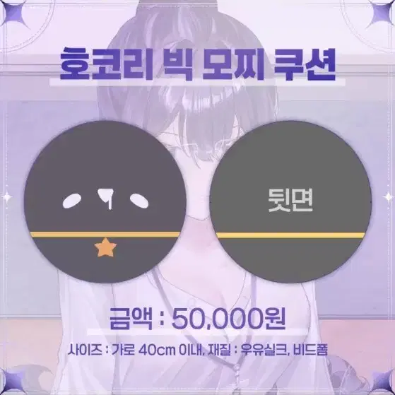 [반님] 2024 생일기념 호코리 쿠션