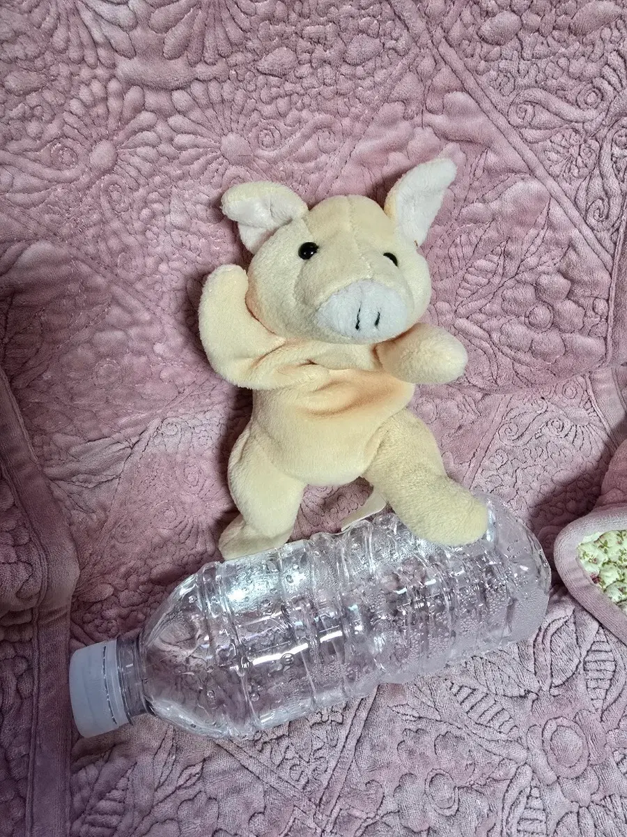 몬테소리 돼지인형