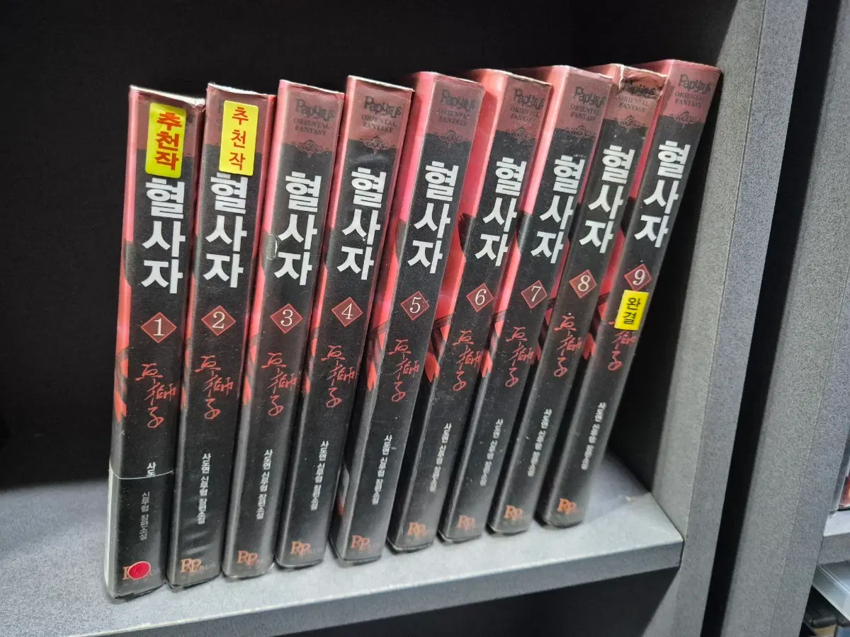 혈사자(사도연신무협소설)1~9완 추천작