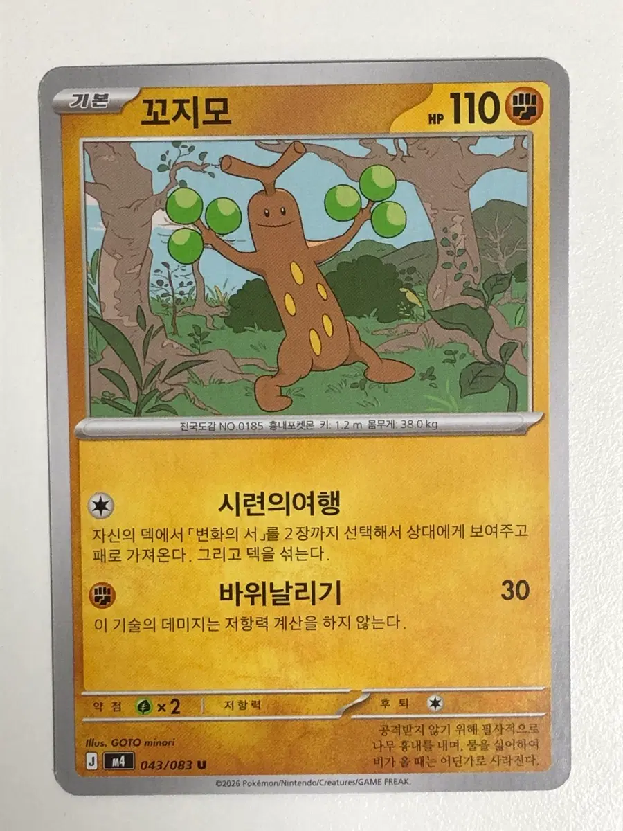 포켓몬카드 꼬지모