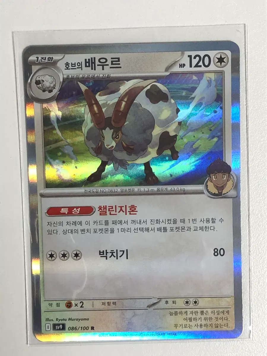 포켓몬카드 호브의 배우르 R