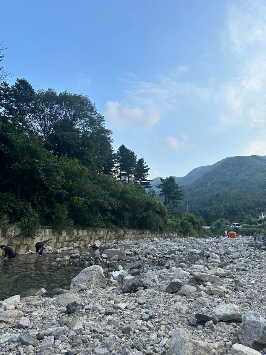 유플러스데이터
