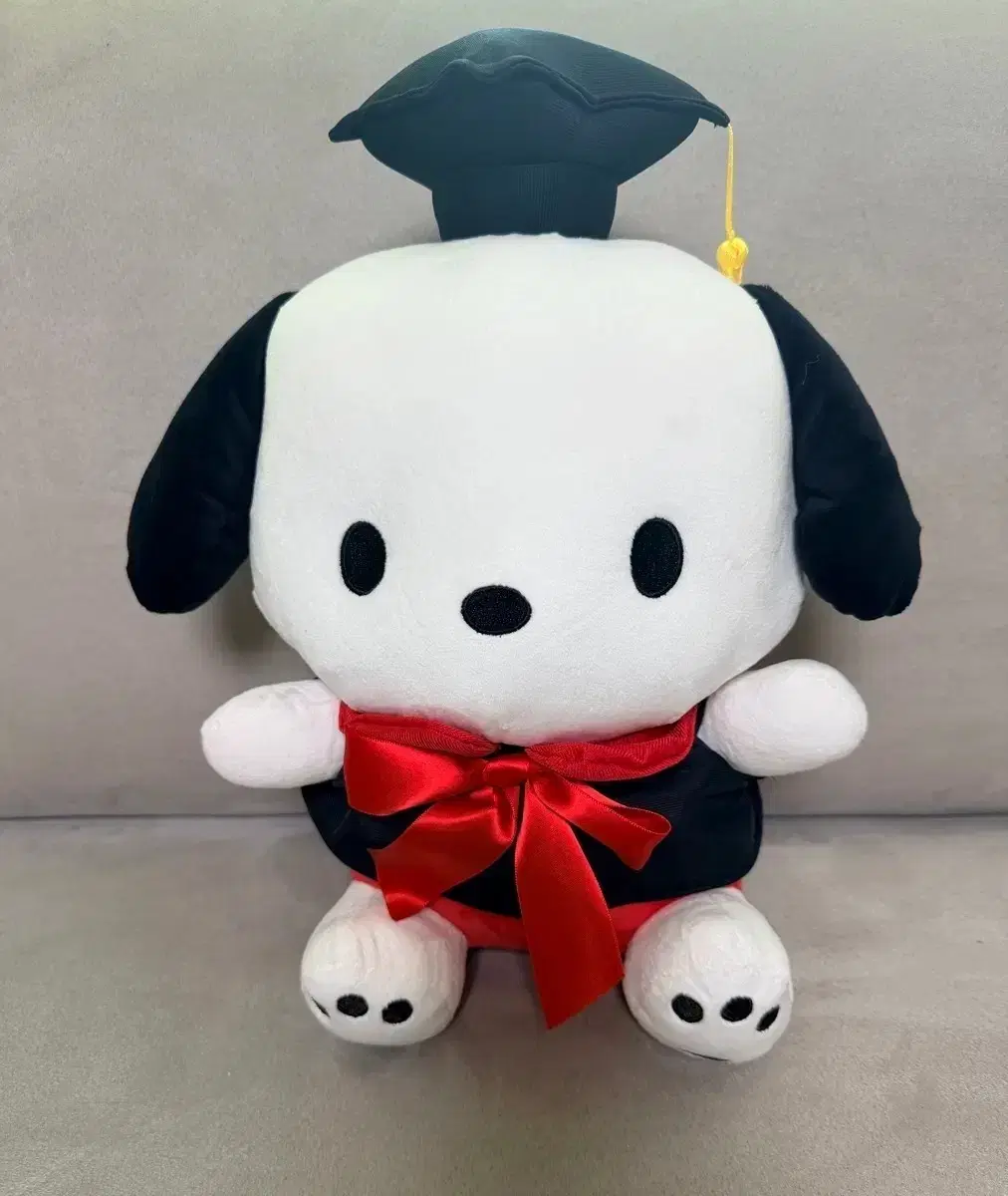 정품 산리오 포차코 학사모 30cm 중형 인형