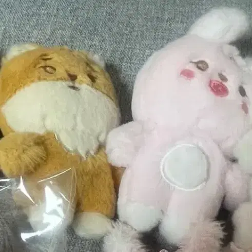 데이식스 쁘멀 일괄