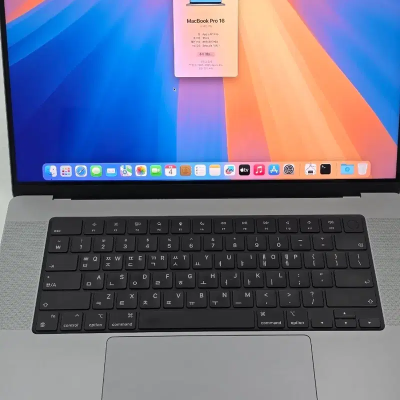세로줄 2021 맥북프로 16 A2485 M1pro 16GB 512GB 노트북