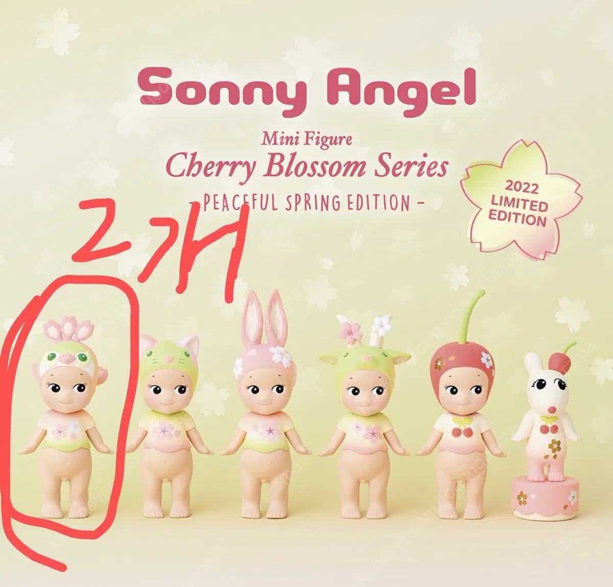 소니엔젤 체리블러썸 2022 체리블라썸 공작새 2개