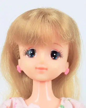 제니 일본제