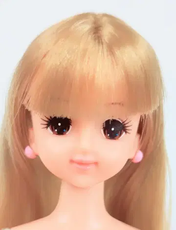제니 일본제