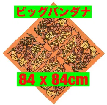 10개 새상품 몽벨 빅밴드 아나 오렌지