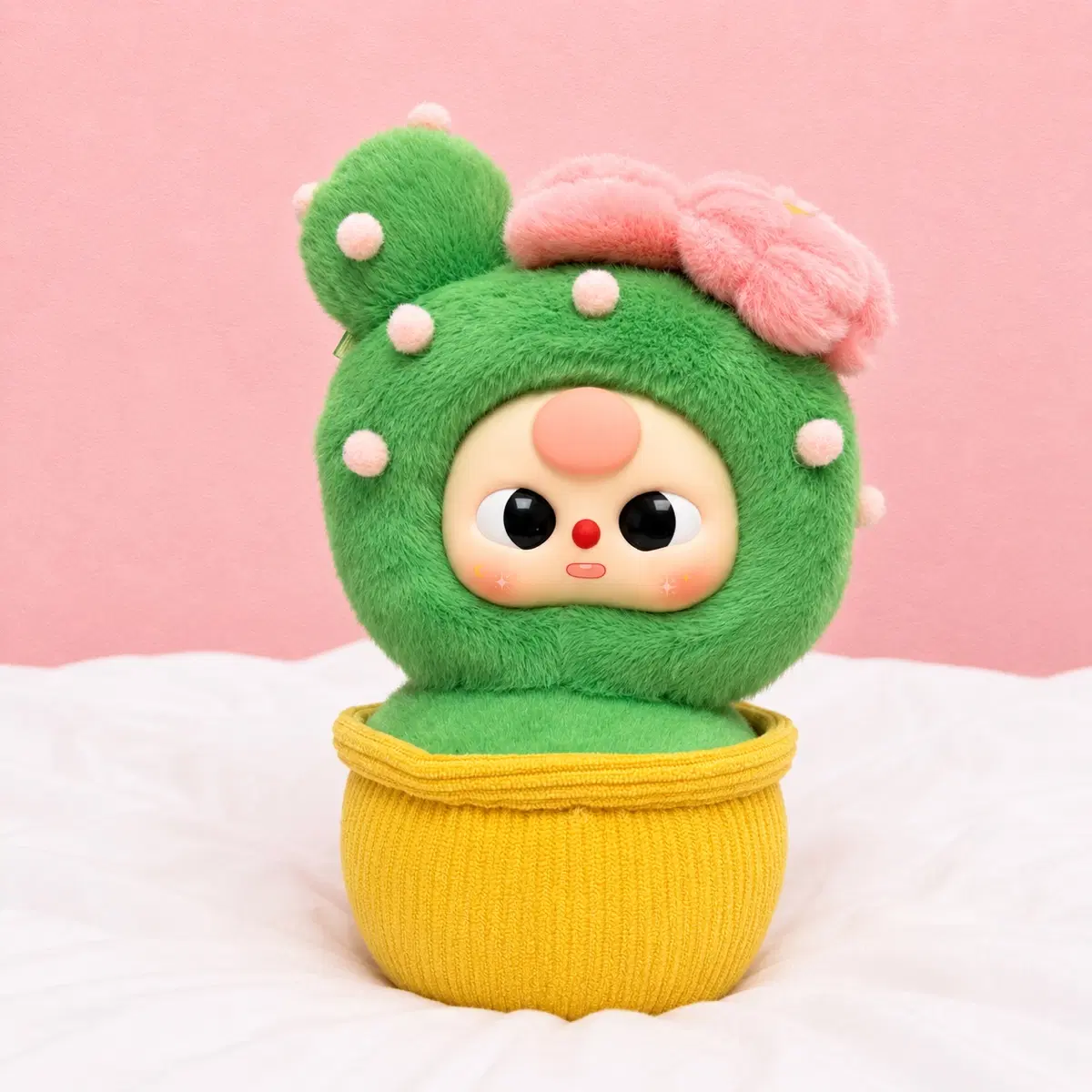 베이비쓰리 화분 선인장