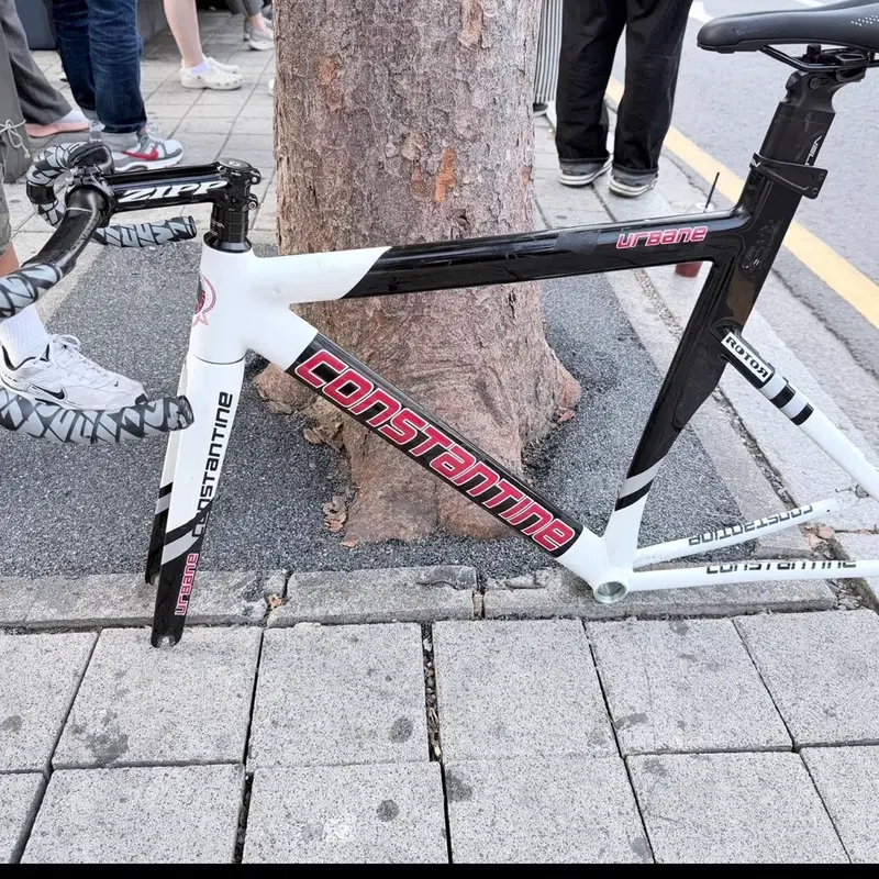 콘스탄틴 어베인 24년식 프레임셋