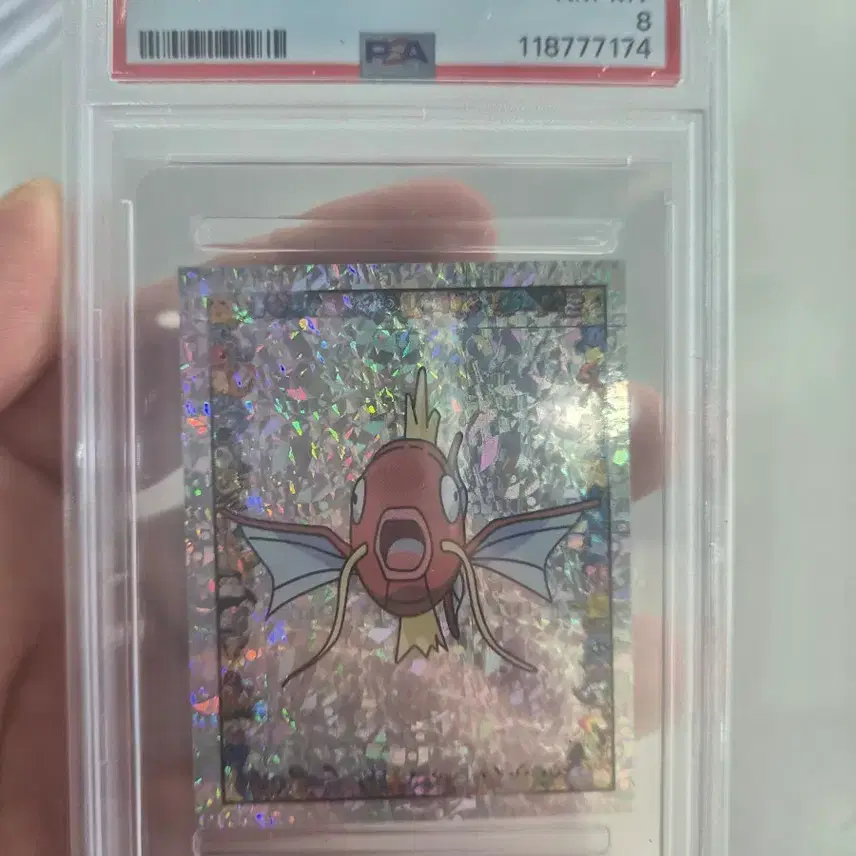 포켓몬 1999 멀린 포켓몬 카드 갸라도스 프리즘 PSA 8