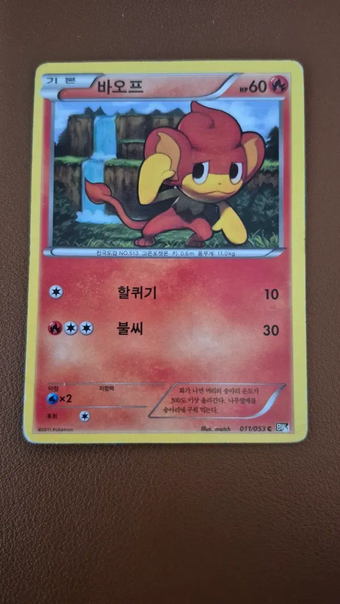 포켓몬 고대 카드 바오프