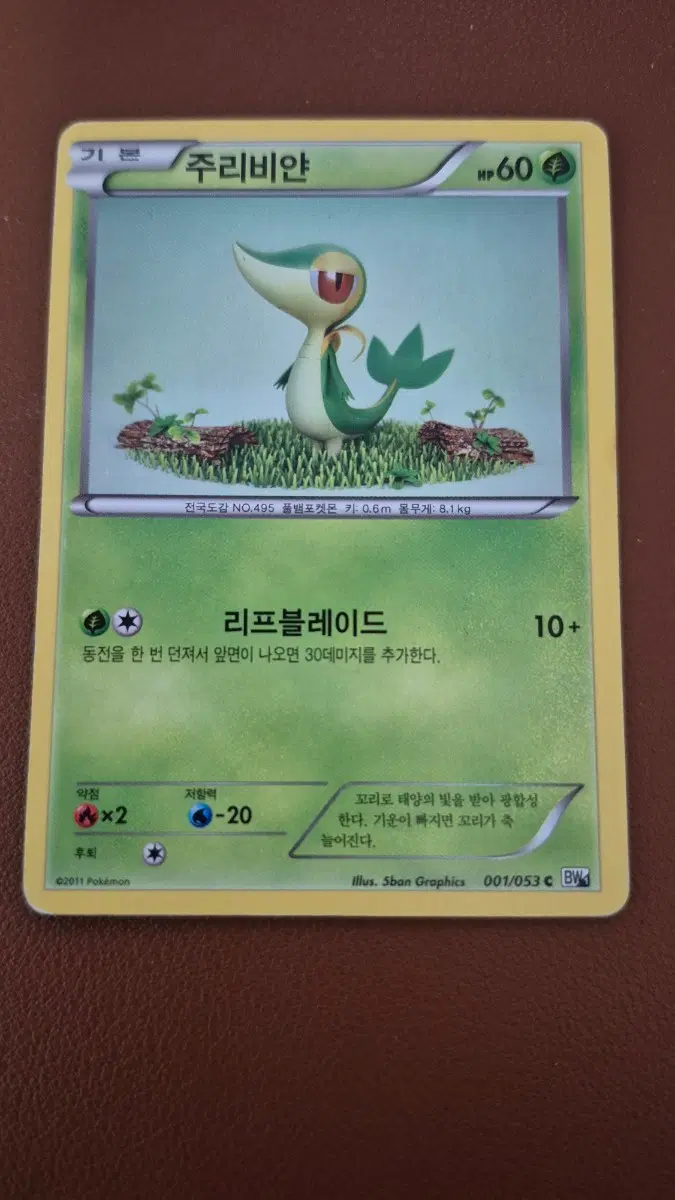 포켓몬 카드 주리비얀 고대