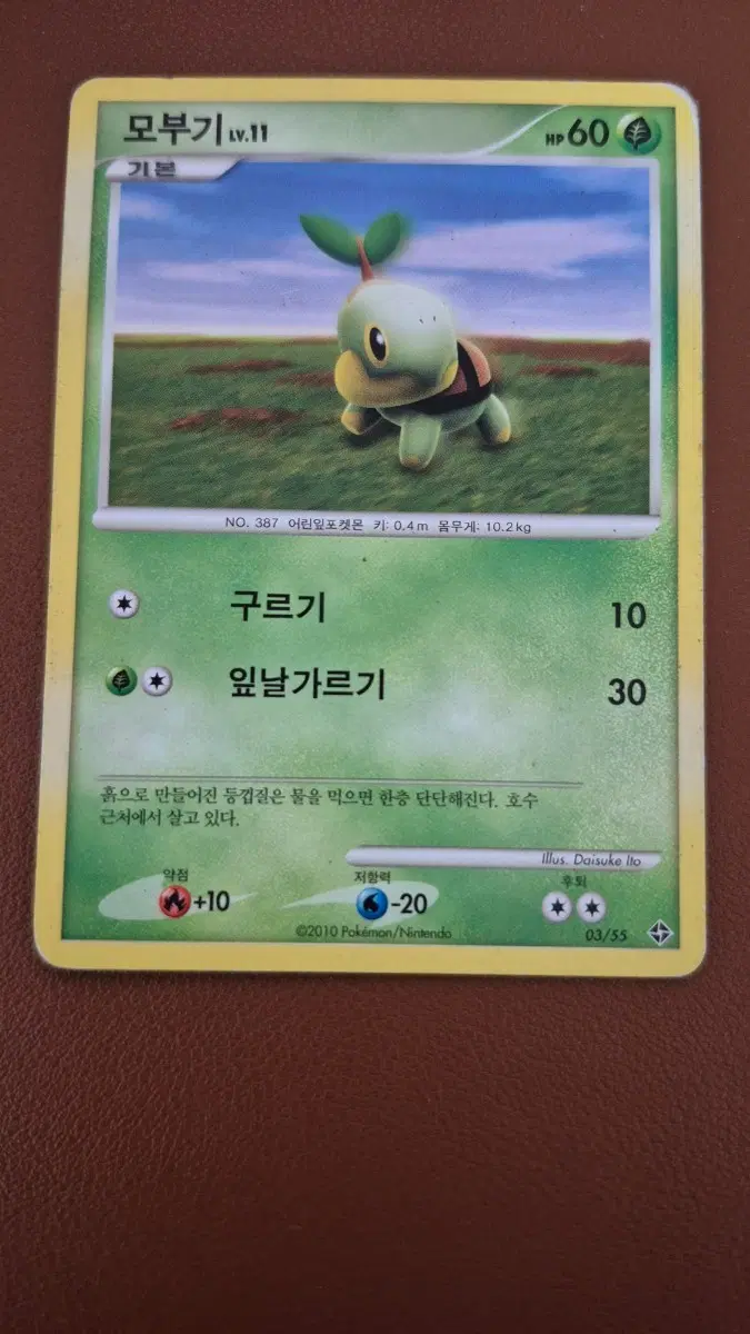 포켓몬 카드 모부기 고대
