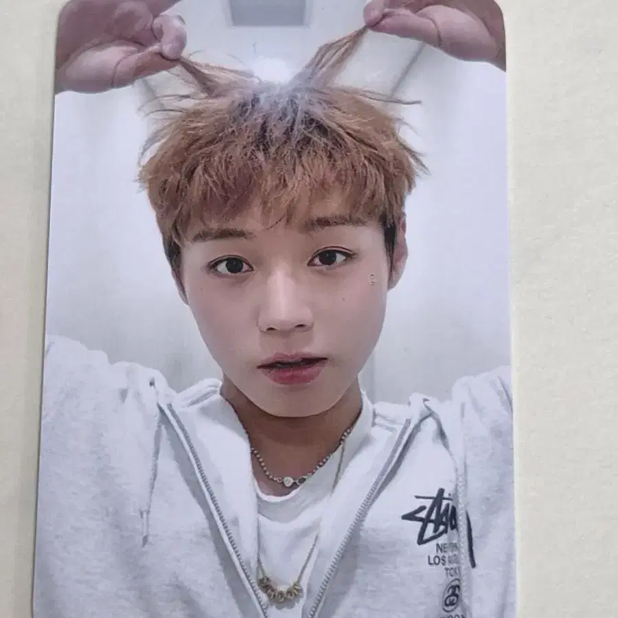 박지훈 포카