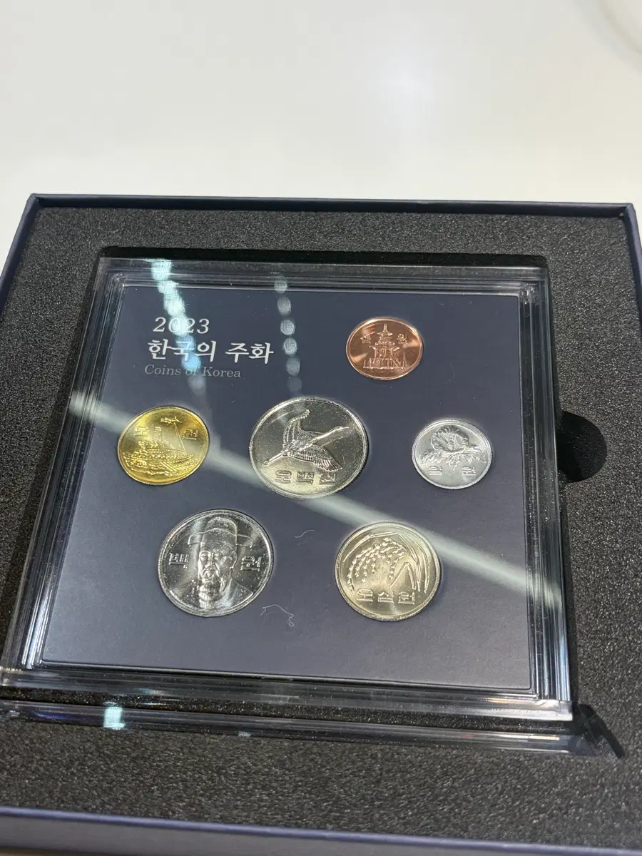 2023년 한국주화 세트