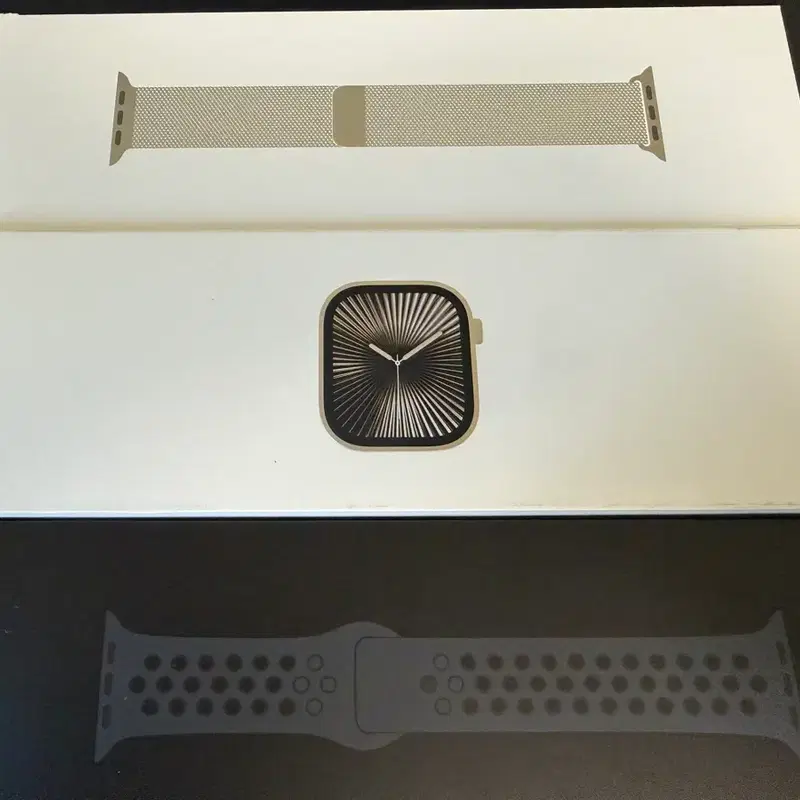 애플워치10 내츄럴티타늄 셀룰러 42mm + 정품 밀레니즈루프
