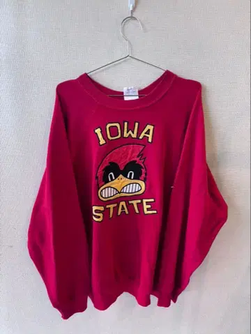 IOWA STATE 칼리지 로고 맨투맨 트레이닝복