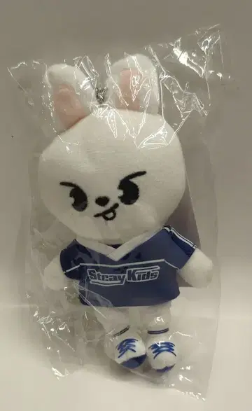 StrayKids 2024 JYP POP UP LeeKnow 백참 SKZOO