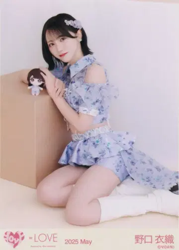 =LOVE 2025년 5월 랜덤 브로마이드 노구치 이오리 2025 May (봉제 인형 마스코트) 앉은