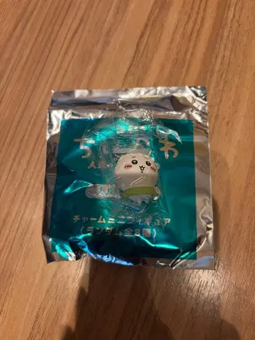 치이카와 메지루시 참 입장 특전