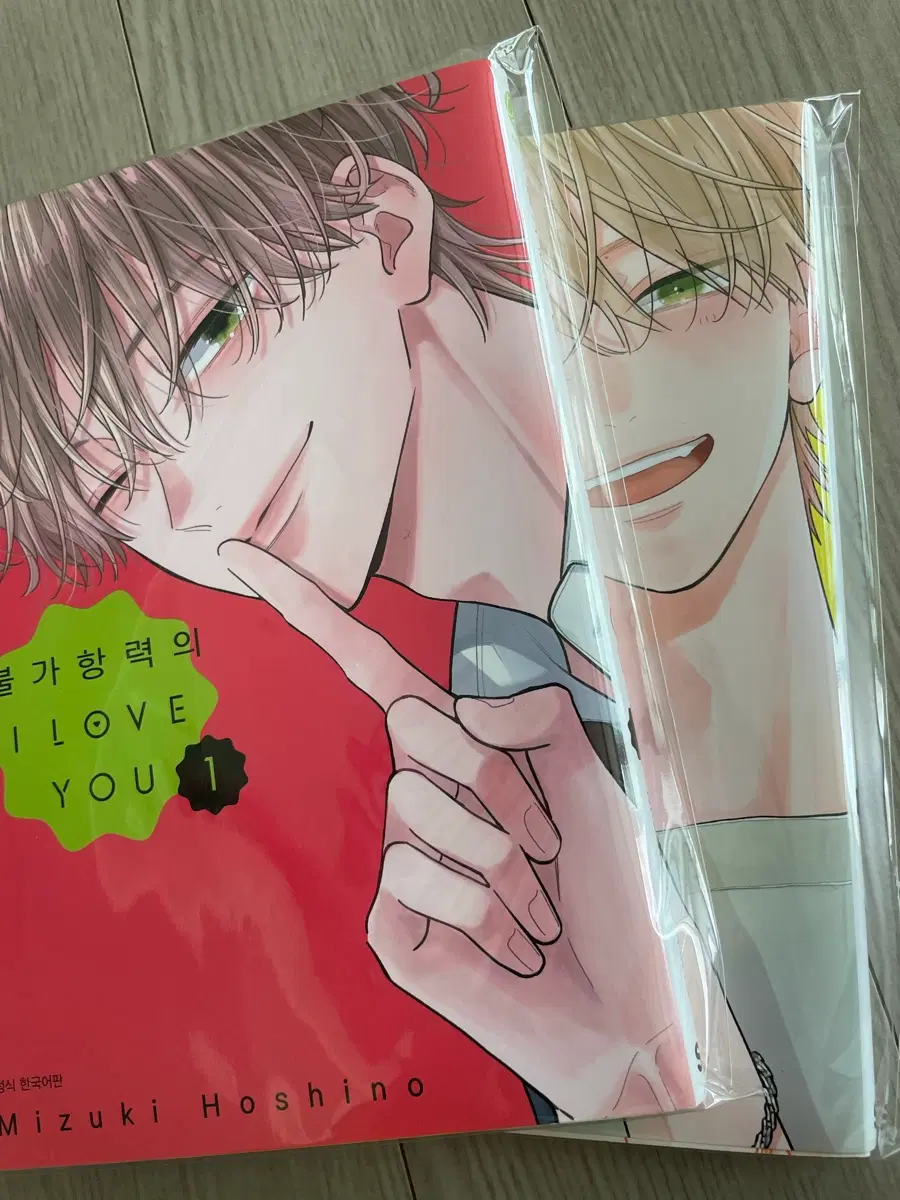 불가항력의 I LOVE YOU