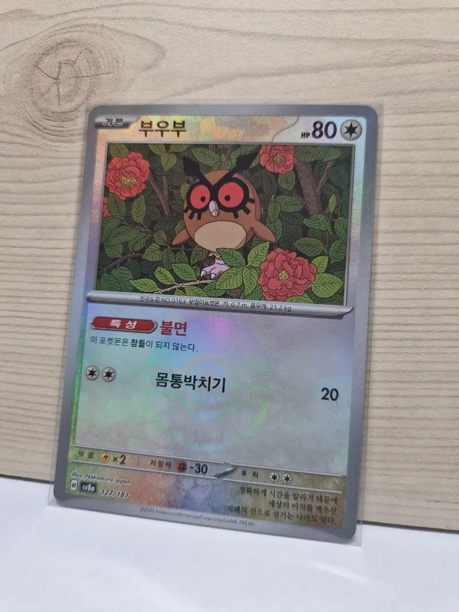 [S급] 부우부 몬스터볼 홀로